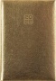Naptár, tervező, B6, heti, DAYLINER, 'Mirror', arany