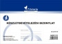 Nyomtatvány, készletbevételezési bizonylat, 25x4, A5, VICTORIA PAPER B.12-111, 10 tömb/csomag