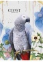 Füzet, tűzött, A4, vonalas, 48 lap, SHKOLYARYK 'My own coast', vegyes