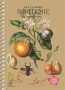 Spirálfüzet, A6, kockás, 80 lap, SHKOLYARYK Spring Hope, vegyes