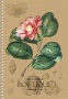 Spirálfüzet, A5, sima, 96 lap, SHKOLYARYK Songs of Hope, vegyes
