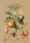 Spirálfüzet, A5, sima, 96 lap, SHKOLYARYK Songs of Hope, vegyes