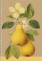 Spirálfüzet, A5, sima, 96 lap, SHKOLYARYK We Grow, vegyes