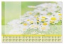 Könyökalátét, 595x410 mm, 3 éves tervezővel, SIGEL 'Lovely Daisies'