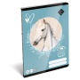 Füzet, tűzött, A5, sima, 32 lap LIZZYSULI, 'Wild Beauty, Sport Club', '20-32'