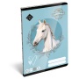 Füzet, tűzött, A5, vonalas, 32 lap, 3. osztály, LIZZYSULI,'Wild Beauty, Sport Club','12-32'